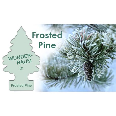 12 x Wunderbaum Frosted Pine